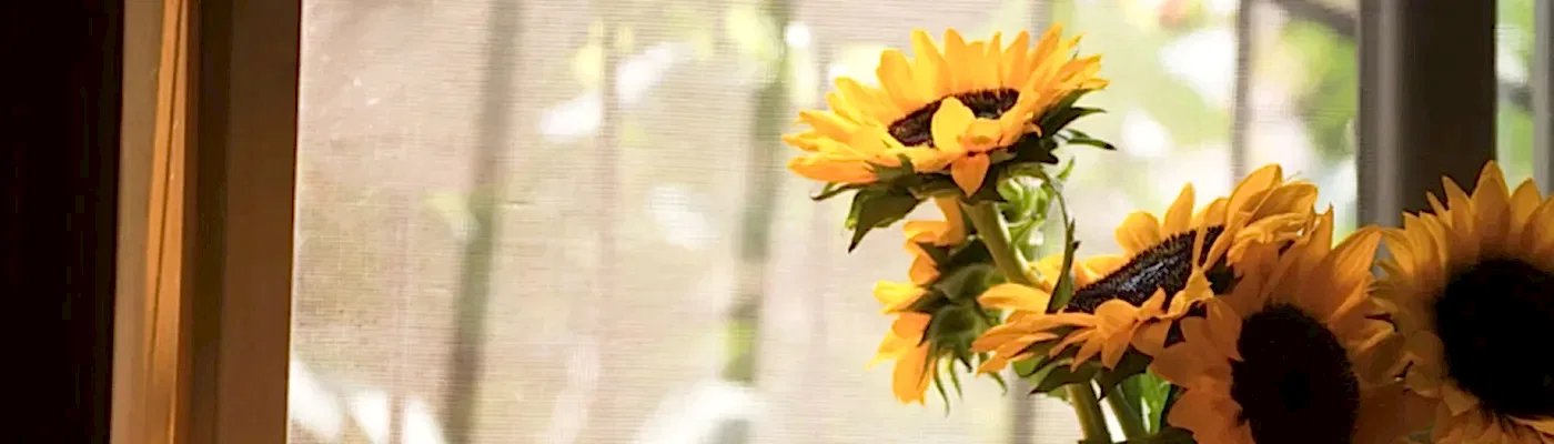 Bu Yaz Evinize Canlılık Katmanın 5 Pratik Yöntemi